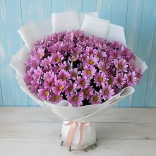 Букет цветов из:  Хризантемы в Тюкалинске