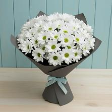 Букет цветов из:  Хризантемы в Тюкалинске