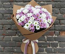 Букет цветов из:  Хризантемы в Тюкалинске