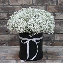 Цветочная композиция из Гипсофила в шляпной коробке в Тюкалинске