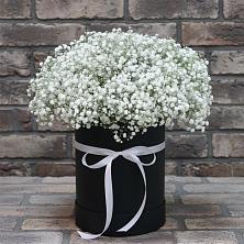 Цветочная композиция из Гипсофила в шляпной коробке в Тюкалинске
