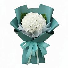 Букет цветов из:  Гортензия #REPLACE_PRED# Тюкалинске